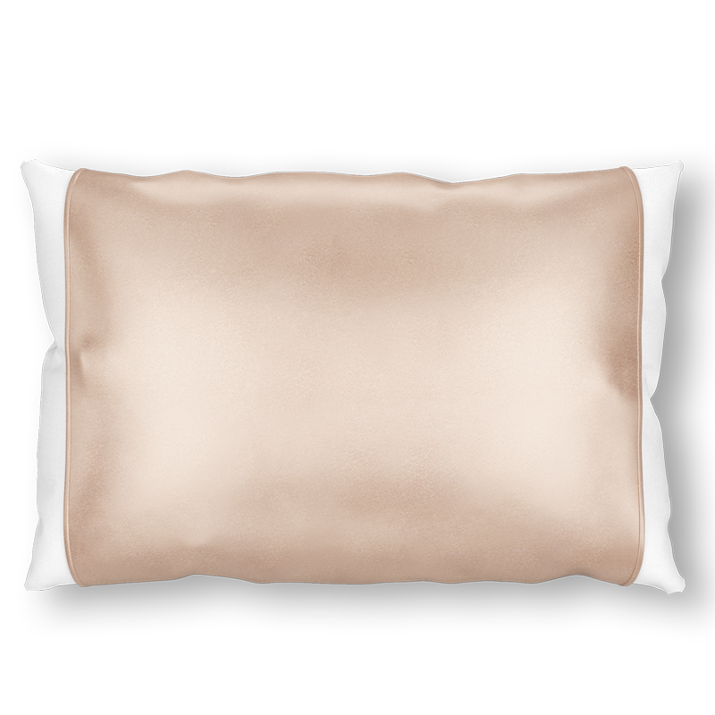 Champagne Silk Pillow Sleeve. – Silked LLC