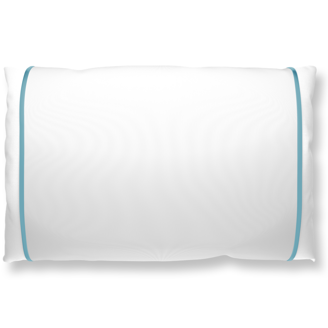 Silked Silk Pillowcase Pillow Sleeve 100% Silk #1 Best Seller Made in USA Hotel Travel Beauty Product Antibacterial Hypoallergenic 2026 Pantone