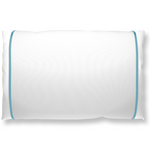 Silked Silk Pillowcase Pillow Sleeve 100% Silk #1 Best Seller Made in USA Hotel Travel Beauty Product Antibacterial Hypoallergenic 2026 Pantone