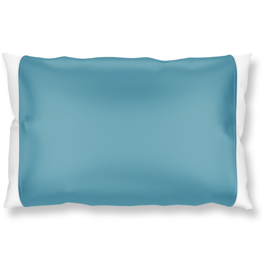 Silked Silk Pillowcase Pillow Sleeve 100% Silk #1 Best Seller Made in USA Hotel Travel Beauty Product Antibacterial Hypoallergenic 2026 Pantone