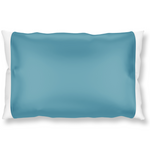 Silked Silk Pillowcase Pillow Sleeve 100% Silk #1 Best Seller Made in USA Hotel Travel Beauty Product Antibacterial Hypoallergenic 2026 Pantone