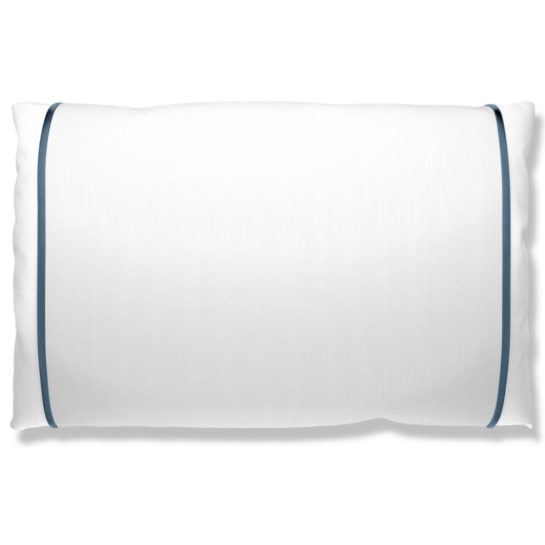 Silked Silk Pillowcase Pillow Sleeve 100% Silk #1 Best Seller Made in USA Hotel Travel Beauty Product Antibacterial Hypoallergenic 2025-2026 Pantone Luxe Silk