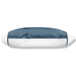 Silked Silk Pillowcase Pillow Sleeve 100% Silk #1 Best Seller Made in USA Hotel Travel Beauty Product Antibacterial Hypoallergenic 2025-2026 Pantone Luxe Silk